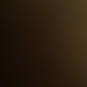 Meet your Posher, Shanese